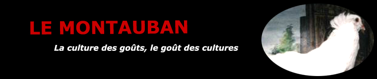 Le Montauban