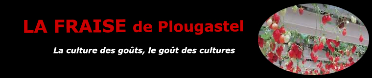 La fraise de Plougastel