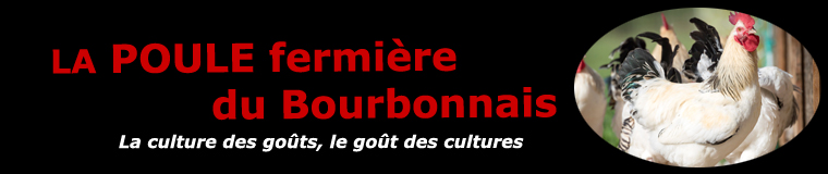 La poule de Padoue