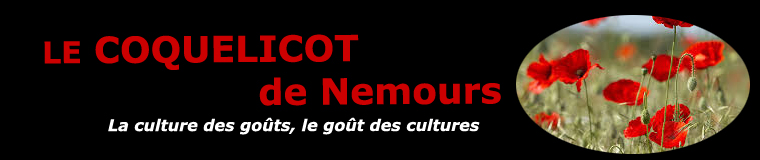 Le coquelicot de Nemours