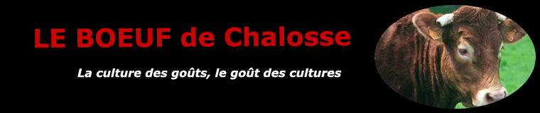 Le boeuf de Chalosse