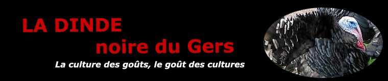 La dinde noire du Gers