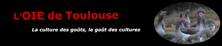 L'oie grise de Toulouse