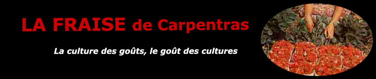 La fraise de Carpentras 