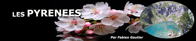 Les pays Pyrnens