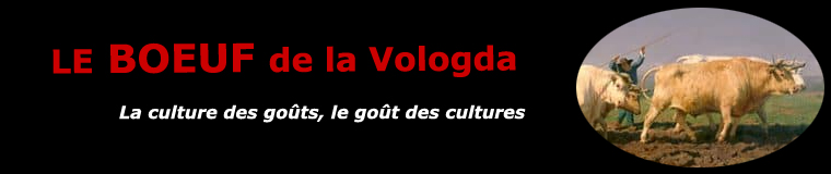Le boeuf de Vologda