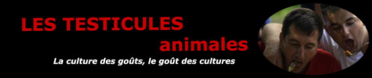 Les testicules animales