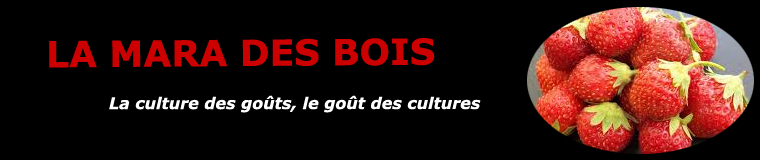 La Mara des bois