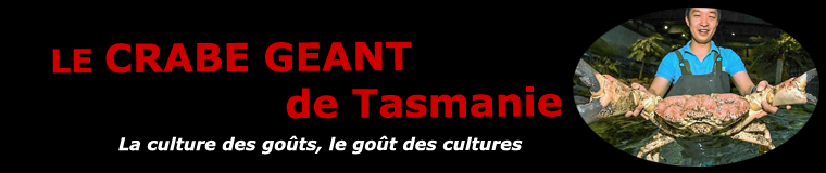 Le crabe de Tasmanie