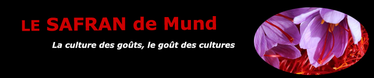 Le safran de Mund
