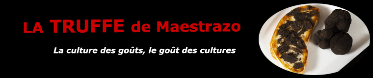 La truffe de Maestrazo