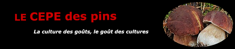 Le cèpe des pins