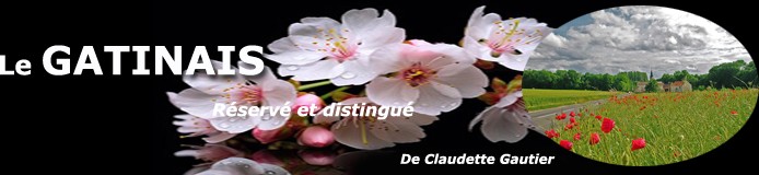 Le Gâtinais